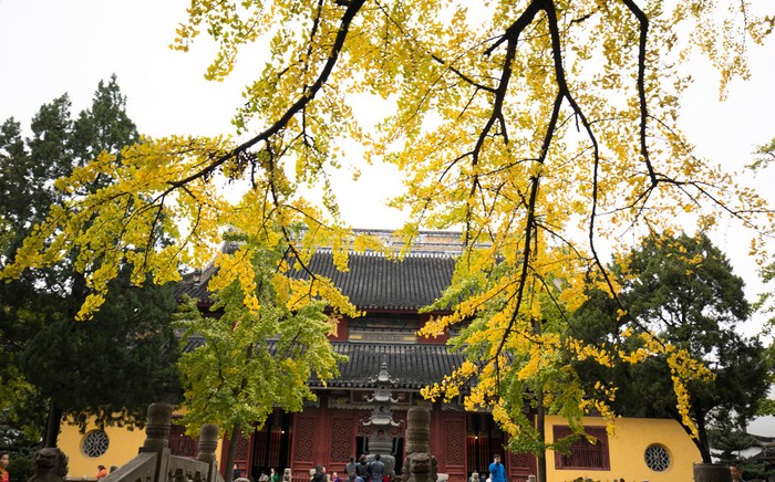 Xiyuan Temple-suzhou